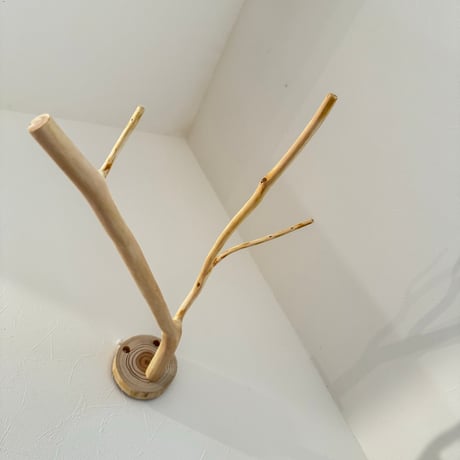 桧のピノキオの鼻 ⑨
