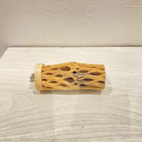 カクタスパーチ【11】直径4~5cm/長さ10cm