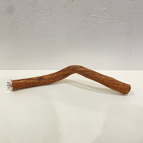 自然木（ツタ）パーチ 直径約2.3cm/長さ30cm