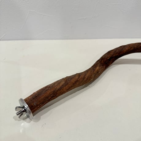 殿様パーチ（自然木ツタ） HOEI465サイズ ①