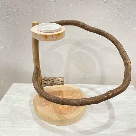 ツタのぐるりんスタンドパーチ　カクタスとオヤツ入れ付き