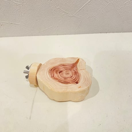 貝塚伊吹テーブルパーチ