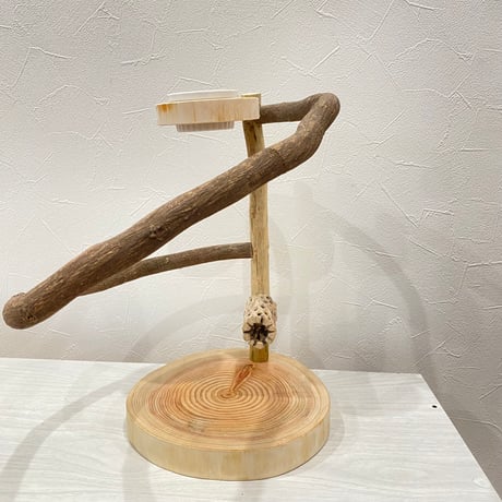 ツタのぐるりんスタンドパーチ　カクタスとオヤツ入れ付き