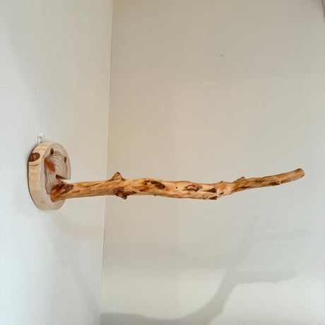 ピノキオの鼻 ⑨
