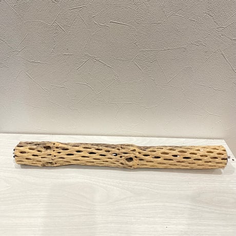 ケージサイズカクタスパーチ③ 中サイズ直径4.5~5cm