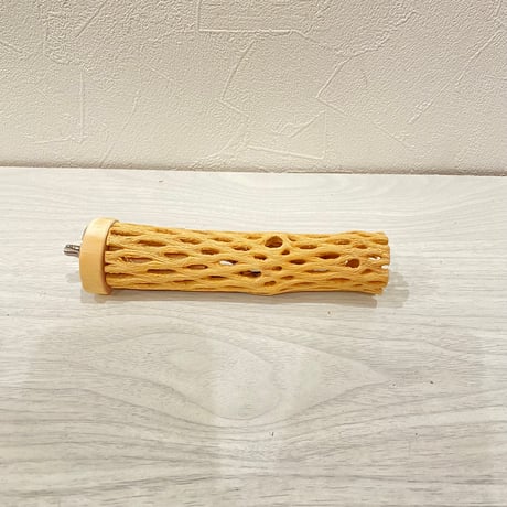 カクタスパーチ極小⑦ 2-3㎝長さ14cm