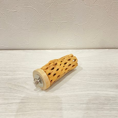 カクタスパーチ①  小サイズ長さ10cm
