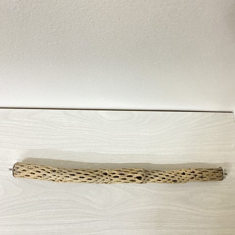 ケージサイズカクタスパーチ④ 極小サイズ直径約2-3cm HOEI465サイズ
