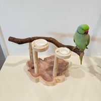 おやつ入れ付きツタのスタンドパーチ