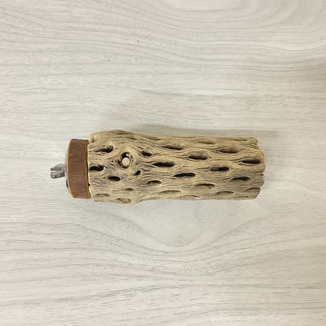 カクタスパーチ② 小サイズ 直径（約4cm）長さ/15cm
