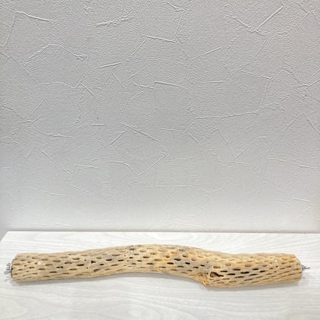 ケージサイズカクタスパーチ① 小サイズ直径3-4cm HOEI465サイズ