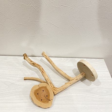 ピノキオの鼻 ①  貝塚伊吹