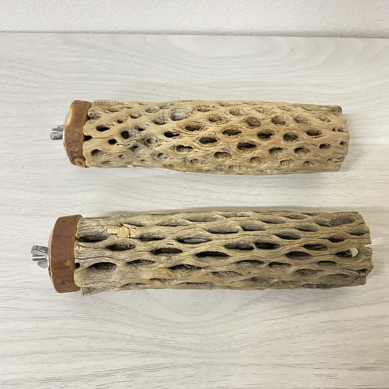 げいり〜様専用】カクタスパーチ 小サイズ 直径（約3-4cm）長さ：15cm 