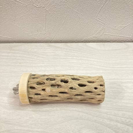 カクタスパーチ【B】 小 直径3.5cm前後 長さ10cm