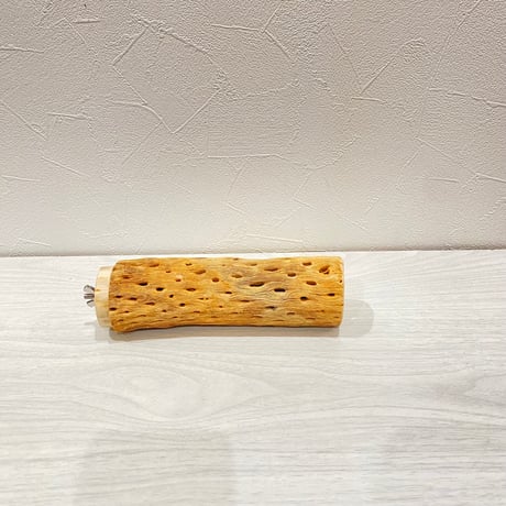 カクタスパーチ②中サイズ長さ17cm