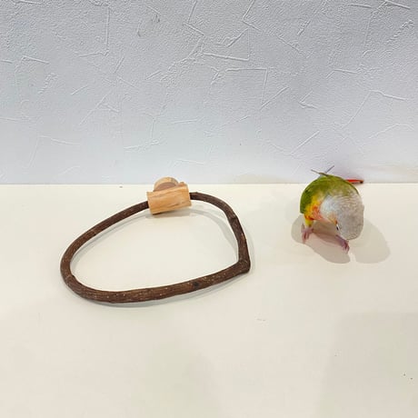自然木（ツタ）のドーナツパーチ　約18cmの円形/ツタ直径1cm