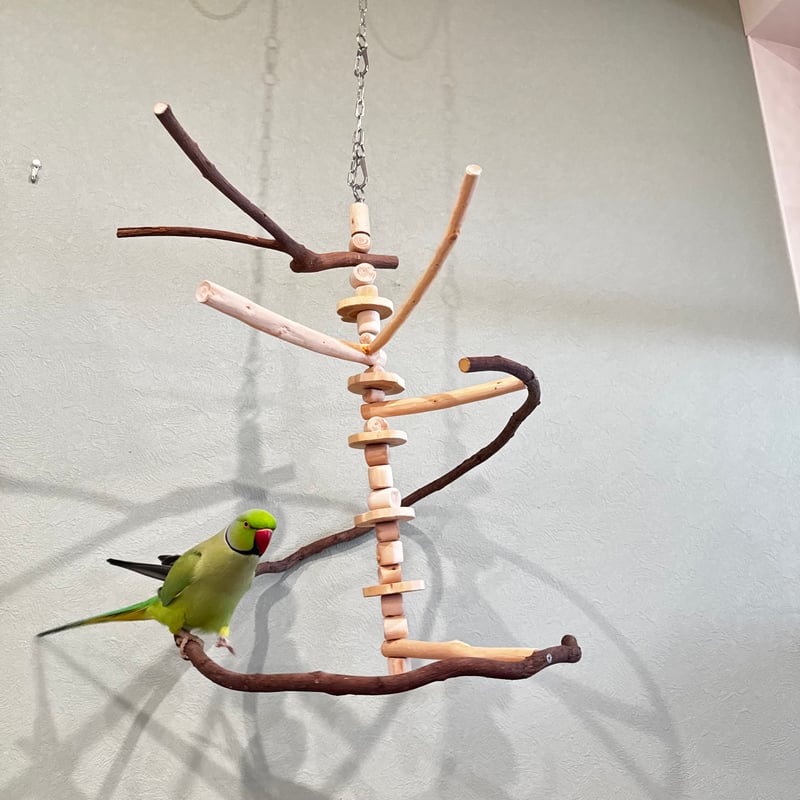 コトリのなる木カスタム つり下げゆらゆらバードアスレチック【インコ