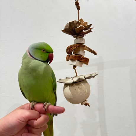 天然素材100% ゾウノリンゴのフォレイジングトイシングル【インコのおもちゃ】