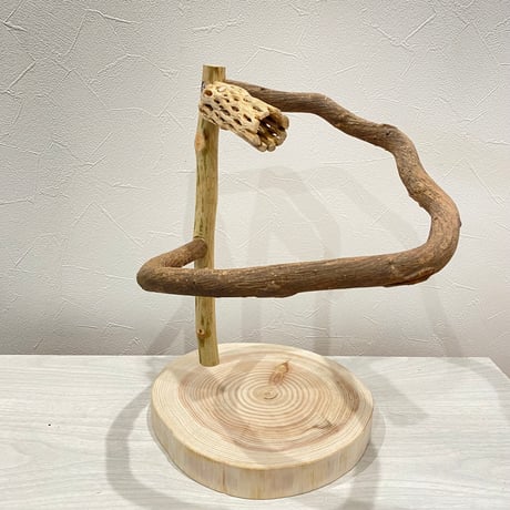 ツタのぐるりんスタンドパーチ③　カクタス付き
