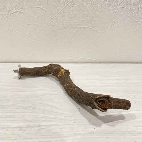 自然木（ツタ）パーチ⑦ 直径2.5cm 長さ22.5cm