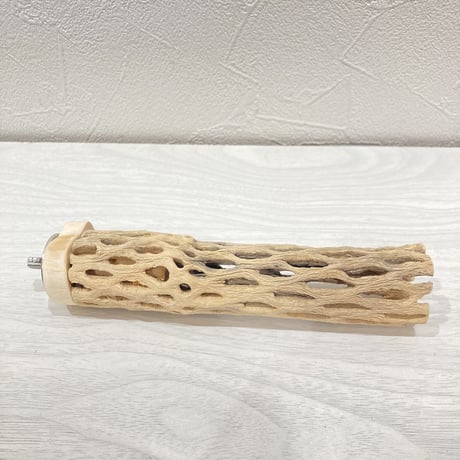 カクタスパーチ【7】極小 直径約3cm 長さ15cm