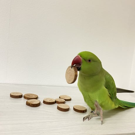 檜木のインコせんべい ガジガジおもちゃ 20〜24枚入り