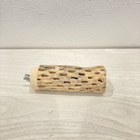 カクタスパーチ小⑩ 直径約3~4cm 長さ10cm