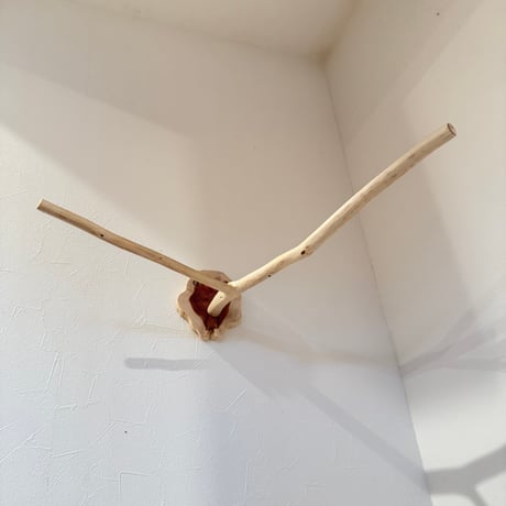 桧のピノキオの鼻 ⑥