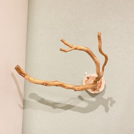 ピノキオの鼻 ①
