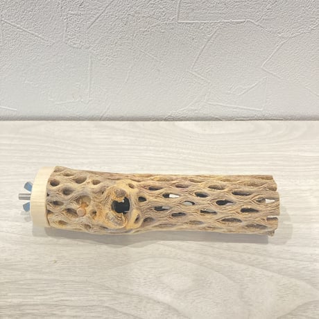 カクタスパーチ⑨  小　直径4cm前後 長さ15cm