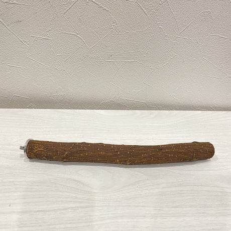 自然木（ツタ）パーチ⑥ 直径3cm長さ26cm