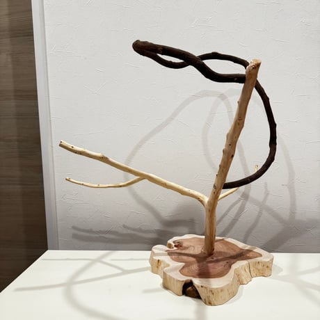 貝塚伊吹とツタのぐるりんアスレチック 【自然木 とまり木 】