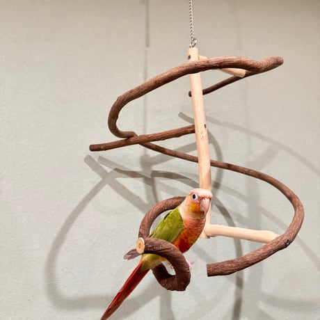 【T様専用】コトリのなる木ミニ【インコ・オウムのおもちゃ・自然木の止まり木】
