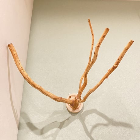 ピノキオの鼻 ②  中型から大型用