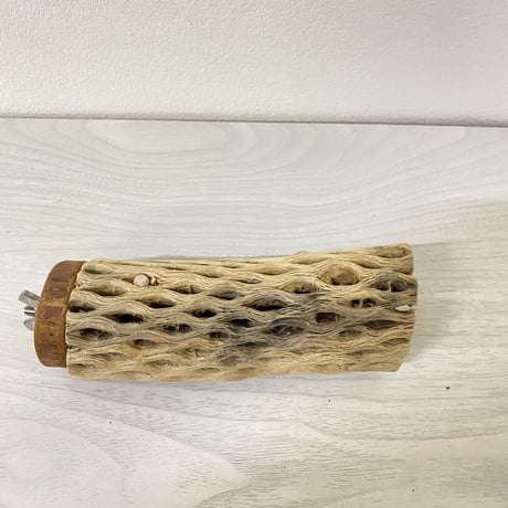カクタスパーチ 中サイズ① 直径約5cm 長さ/13cm