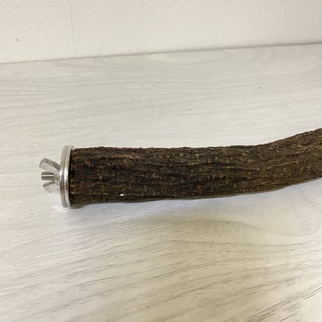 自然木（ツタ）のパーチ③　直径2.5cm 長さ19.5cm