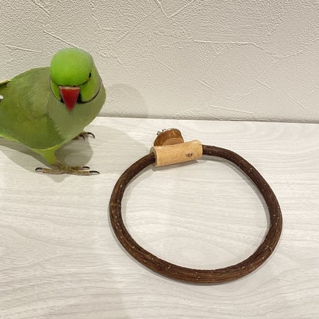 自然木（ツタ）のドーナツパーチ⑩ パーチ直径1cm／円直径14.5×16cm