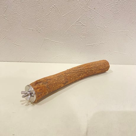 自然木（ツタ）パーチ④