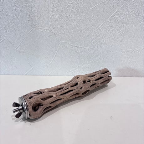 カクタスパーチ極小サイズ⑯ 直径2.5~3cm/長さ15cm【自然木 止まり木 バンブルフット 趾瘤症 】