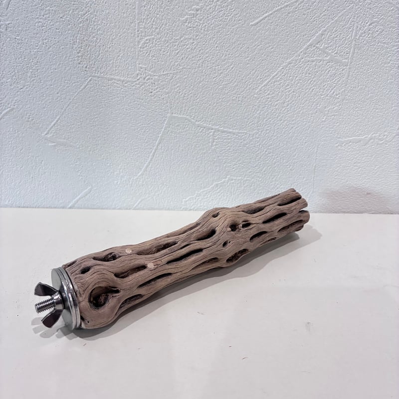 カクタスパーチ極小サイズ⑯ 直径2.5~3cm/長さ15cm【自然木 止まり木