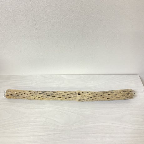 ケージサイズカクタスパーチ④  極小直径2-3cm HOEI465サイズ