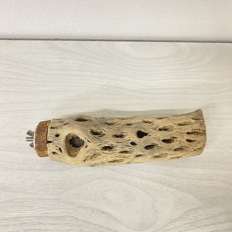 カクタスパーチ② 小サイズ 直径（約4cm）長さ/15cm