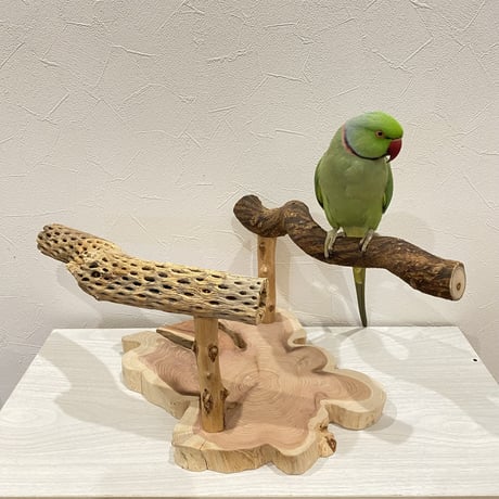 【中型・大型用】ツタとカクタスの殿様スタンドパーチ②【インコのおもちゃ・自然木のとまり木】