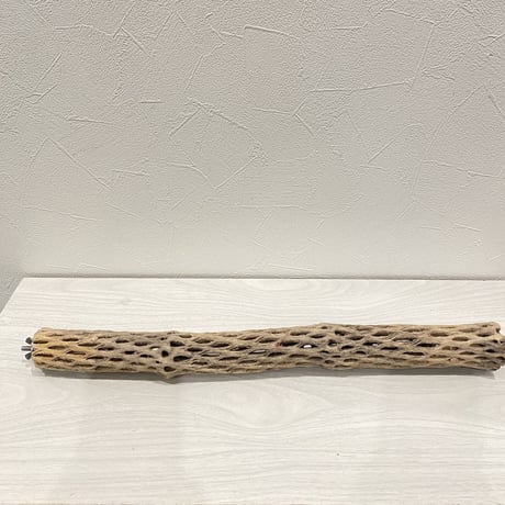 ケージサイズカクタスパーチ⑤  小直径3〜4cm HOEI465