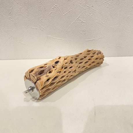 カクタスパーチ⑤ 直径約4~5.5cm/長さ20cm