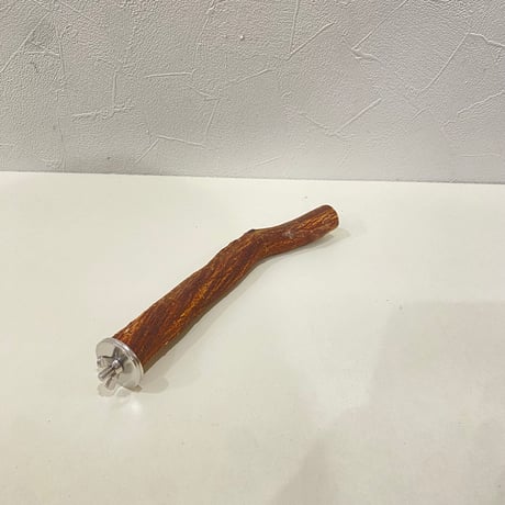 自然木（ツタ）パーチ 直径約2cm/長さ20cm