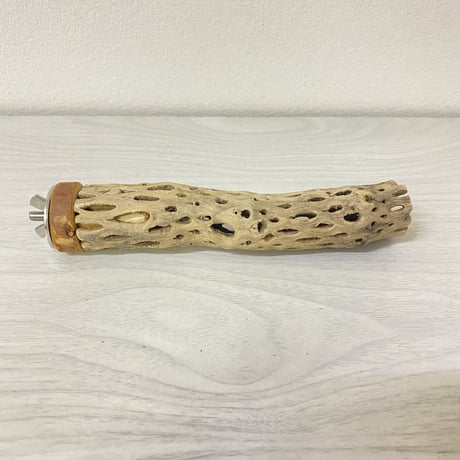 カクタスパーチ⑩ 極小サイズ 直径（約2-3cm）長さ/15cm