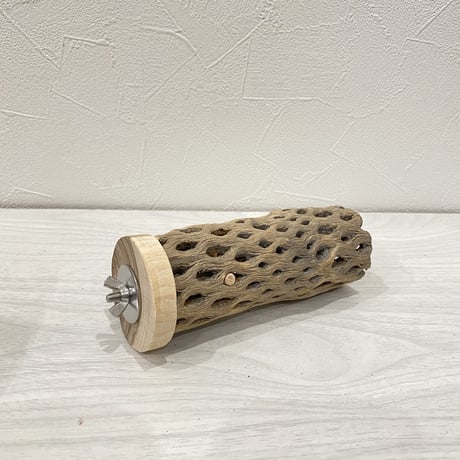 カクタスパーチ⑭ 中直径約5.5cm/13.5cm