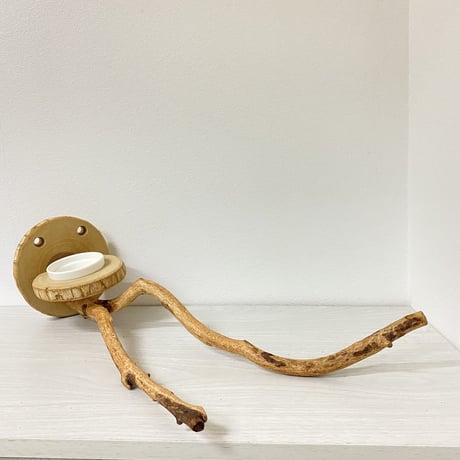 ピノキオの鼻②