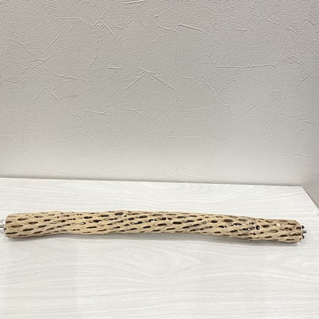 ケージサイズカクタスパーチ⑤  極小サイズ（直径2-3cm）HOEI465